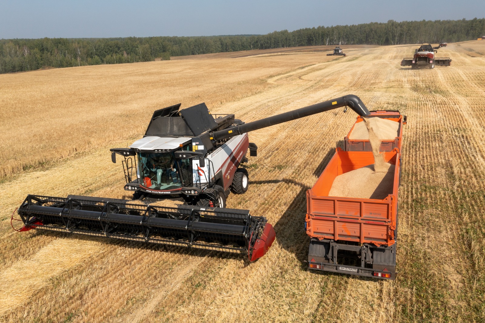 500 миллионов рублей для процветания агробизнеса Свердловской области 